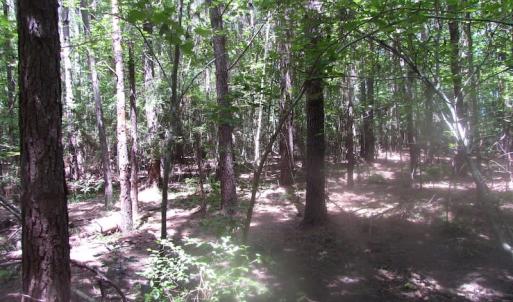 Photo of UNDER CONTRACT!  15 Acres of Farm and Hunting Land For Sale in Isle of Wight County Virginia!