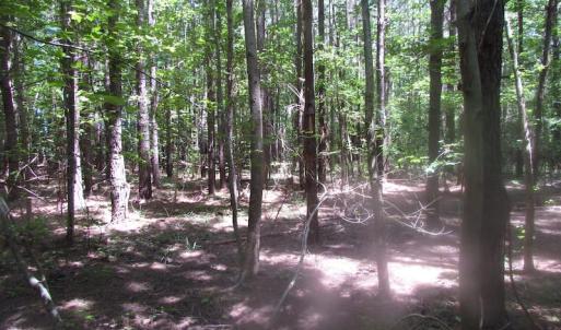 Photo of UNDER CONTRACT!  15 Acres of Farm and Hunting Land For Sale in Isle of Wight County Virginia!
