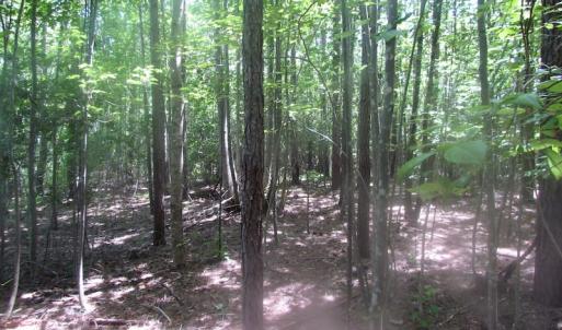 Photo of UNDER CONTRACT!  15 Acres of Farm and Hunting Land For Sale in Isle of Wight County Virginia!