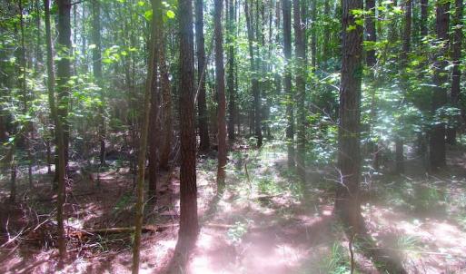 Photo of UNDER CONTRACT!  15 Acres of Farm and Hunting Land For Sale in Isle of Wight County Virginia!