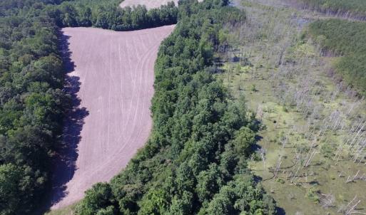 Photo of SOLD!  127 Acres of Farm and Hunting Land on the Blackwater River For Sale in Isle of Wight County Virginia!