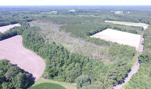 Photo of SOLD!  127 Acres of Farm and Hunting Land on the Blackwater River For Sale in Isle of Wight County Virginia!