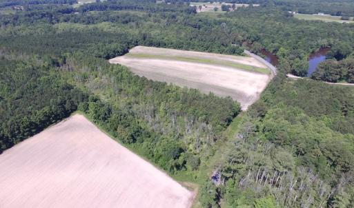 Photo of SOLD!  127 Acres of Farm and Hunting Land on the Blackwater River For Sale in Isle of Wight County Virginia!