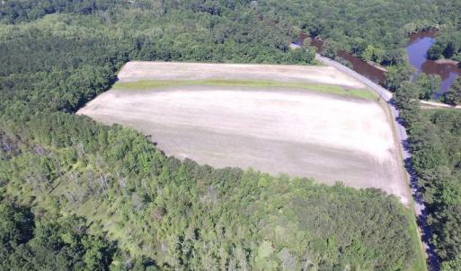 Photo of SOLD!  127 Acres of Farm and Hunting Land on the Blackwater River For Sale in Isle of Wight County Virginia!