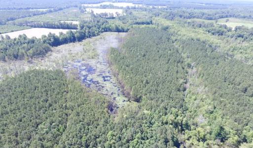 Photo of SOLD!  127 Acres of Farm and Hunting Land on the Blackwater River For Sale in Isle of Wight County Virginia!