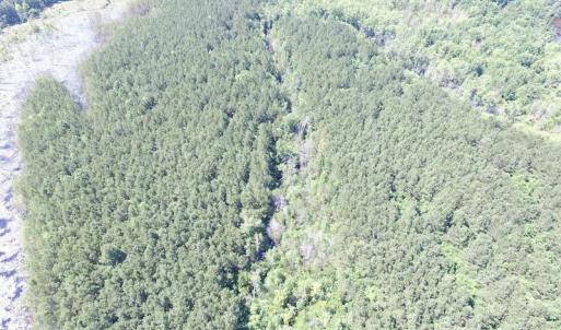 Photo of SOLD!  127 Acres of Farm and Hunting Land on the Blackwater River For Sale in Isle of Wight County Virginia!