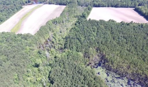Photo of SOLD!  127 Acres of Farm and Hunting Land on the Blackwater River For Sale in Isle of Wight County Virginia!