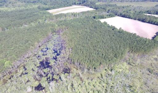 Photo of SOLD!  127 Acres of Farm and Hunting Land on the Blackwater River For Sale in Isle of Wight County Virginia!