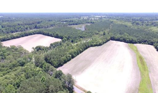 Photo of SOLD!  127 Acres of Farm and Hunting Land on the Blackwater River For Sale in Isle of Wight County Virginia!
