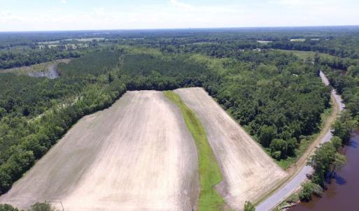 Photo of SOLD!  127 Acres of Farm and Hunting Land on the Blackwater River For Sale in Isle of Wight County Virginia!
