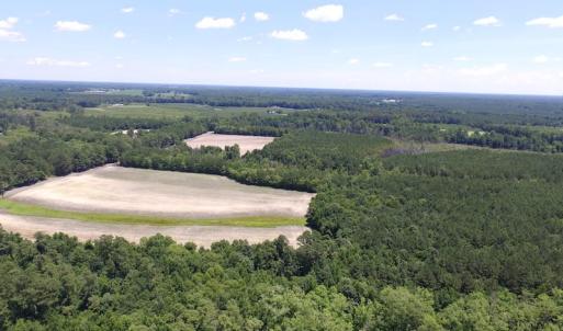 Photo of SOLD!  127 Acres of Farm and Hunting Land on the Blackwater River For Sale in Isle of Wight County Virginia!