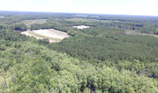 Photo of SOLD!  127 Acres of Farm and Hunting Land on the Blackwater River For Sale in Isle of Wight County Virginia!