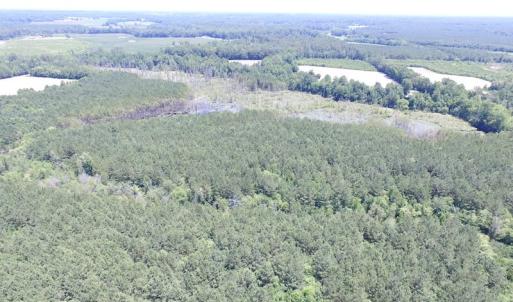 Photo of SOLD!  127 Acres of Farm and Hunting Land on the Blackwater River For Sale in Isle of Wight County Virginia!