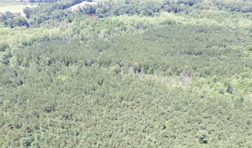 Photo of SOLD!  127 Acres of Farm and Hunting Land on the Blackwater River For Sale in Isle of Wight County Virginia!