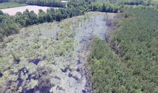Photo of SOLD!  127 Acres of Farm and Hunting Land on the Blackwater River For Sale in Isle of Wight County Virginia!
