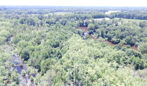 Photo of SOLD!  127 Acres of Farm and Hunting Land on the Blackwater River For Sale in Isle of Wight County Virginia!