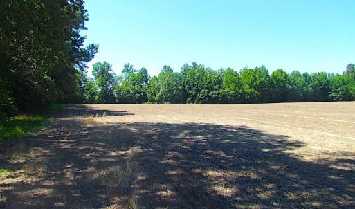 Photo of SOLD!  127 Acres of Farm and Hunting Land on the Blackwater River For Sale in Isle of Wight County Virginia!