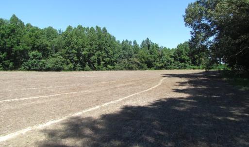 Photo of SOLD!  127 Acres of Farm and Hunting Land on the Blackwater River For Sale in Isle of Wight County Virginia!