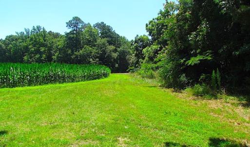 Photo of SOLD!  127 Acres of Farm and Hunting Land on the Blackwater River For Sale in Isle of Wight County Virginia!
