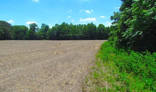 Photo of SOLD!  127 Acres of Farm and Hunting Land on the Blackwater River For Sale in Isle of Wight County Virginia!