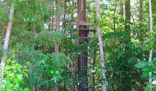 Photo of SOLD!  127 Acres of Farm and Hunting Land on the Blackwater River For Sale in Isle of Wight County Virginia!