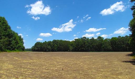 Photo of SOLD!  127 Acres of Farm and Hunting Land on the Blackwater River For Sale in Isle of Wight County Virginia!
