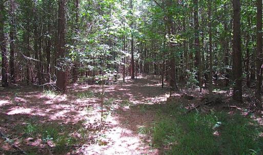 Photo of SOLD!  127 Acres of Farm and Hunting Land on the Blackwater River For Sale in Isle of Wight County Virginia!