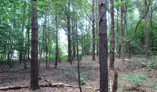 Photo of SOLD!  127 Acres of Farm and Hunting Land on the Blackwater River For Sale in Isle of Wight County Virginia!