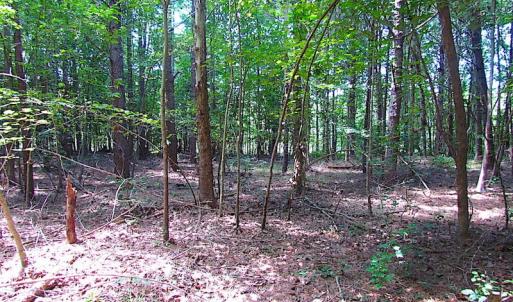 Photo of SOLD!  127 Acres of Farm and Hunting Land on the Blackwater River For Sale in Isle of Wight County Virginia!
