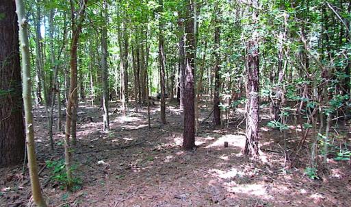 Photo of SOLD!  127 Acres of Farm and Hunting Land on the Blackwater River For Sale in Isle of Wight County Virginia!