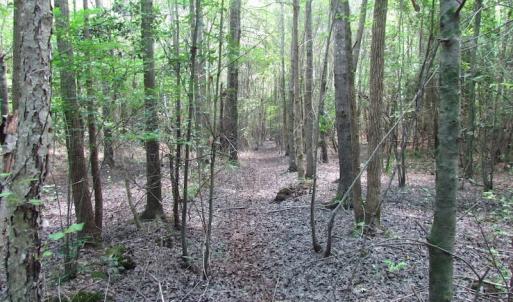 Photo of SOLD!  127 Acres of Farm and Hunting Land on the Blackwater River For Sale in Isle of Wight County Virginia!