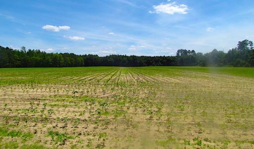 Photo of SOLD!  127 Acres of Farm and Hunting Land on the Blackwater River For Sale in Isle of Wight County Virginia!