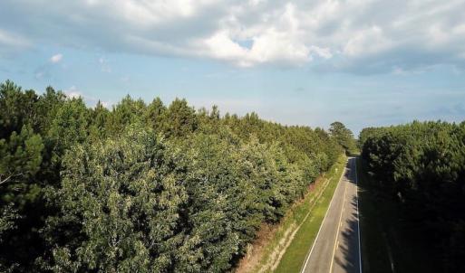 Photo of UNDER CONTRACT!  9.5 Acres of Hunting and Timber Land For Sale in Gates County NC!