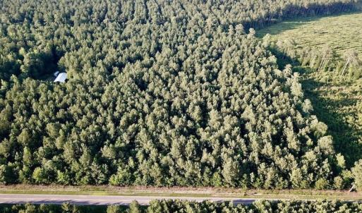 Photo of UNDER CONTRACT!  9.5 Acres of Hunting and Timber Land For Sale in Gates County NC!