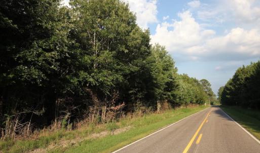 Photo of UNDER CONTRACT!  9.5 Acres of Hunting and Timber Land For Sale in Gates County NC!