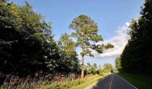 Photo of UNDER CONTRACT!  9.5 Acres of Hunting and Timber Land For Sale in Gates County NC!