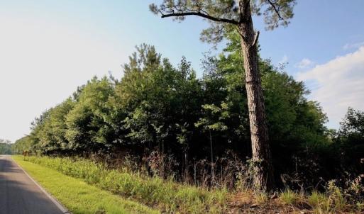 Photo of UNDER CONTRACT!  9.5 Acres of Hunting and Timber Land For Sale in Gates County NC!