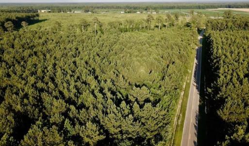 Photo of UNDER CONTRACT!  9.5 Acres of Hunting and Timber Land For Sale in Gates County NC!