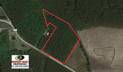 Photo of UNDER CONTRACT!  9.5 Acres of Hunting and Timber Land For Sale in Gates County NC!