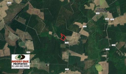 Photo of UNDER CONTRACT!  9.5 Acres of Hunting and Timber Land For Sale in Gates County NC!