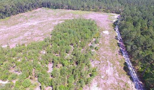 Photo of SOLD!!  222 Acres of Farm and Hunting Land For Sale in Isle of Wight County VA!