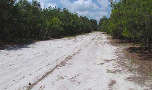Photo of SOLD!!  222 Acres of Farm and Hunting Land For Sale in Isle of Wight County VA!