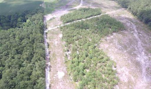 Photo of SOLD!!  222 Acres of Farm and Hunting Land For Sale in Isle of Wight County VA!
