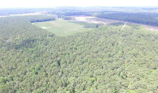 Photo of SOLD!!  222 Acres of Farm and Hunting Land For Sale in Isle of Wight County VA!