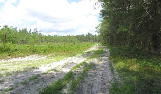 Photo of SOLD!!  222 Acres of Farm and Hunting Land For Sale in Isle of Wight County VA!