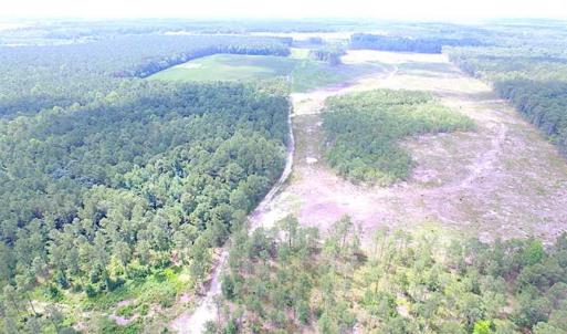 Photo of SOLD!!  222 Acres of Farm and Hunting Land For Sale in Isle of Wight County VA!
