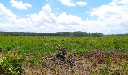 Photo of SOLD!!  222 Acres of Farm and Hunting Land For Sale in Isle of Wight County VA!