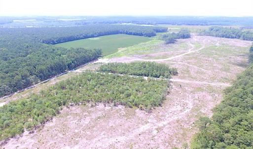 Photo of SOLD!!  222 Acres of Farm and Hunting Land For Sale in Isle of Wight County VA!