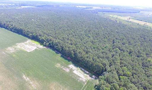 Photo of SOLD!!  222 Acres of Farm and Hunting Land For Sale in Isle of Wight County VA!