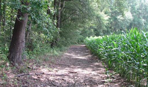 Photo of SOLD!!  222 Acres of Farm and Hunting Land For Sale in Isle of Wight County VA!